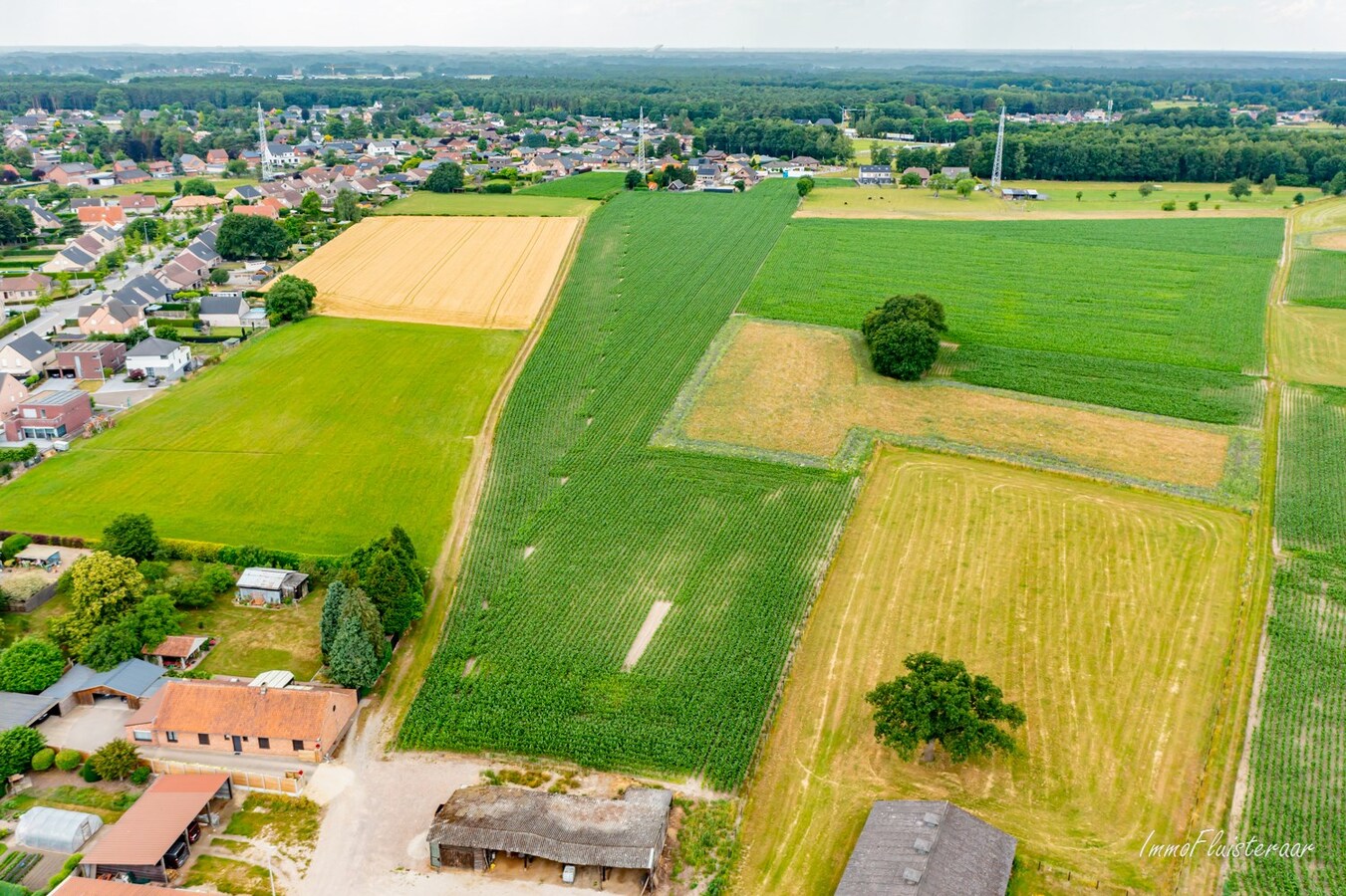 Prairie vendu À Wijshagen