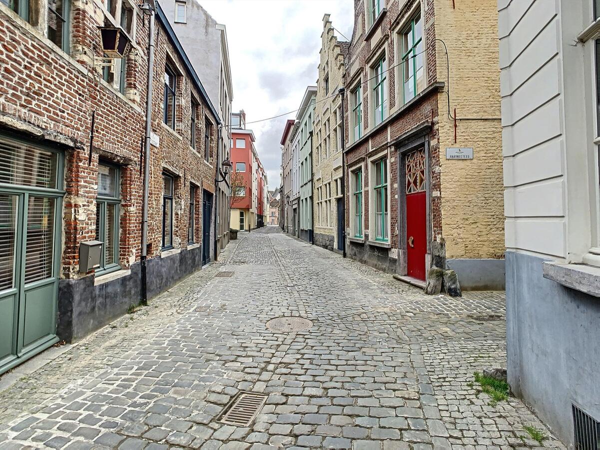 Volledig vernieuwd appartement in het pittoreske Patershol 