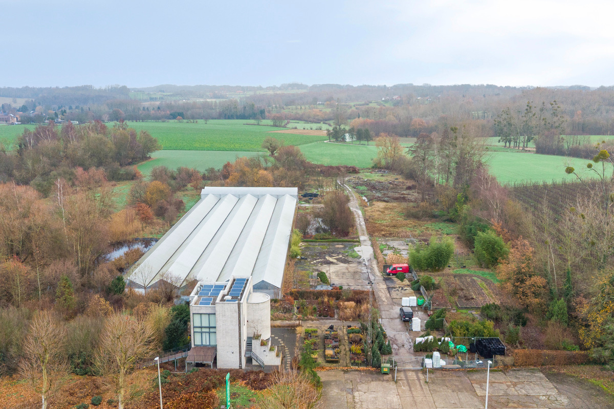 Te koop industrie - Tongeren-Borgloon