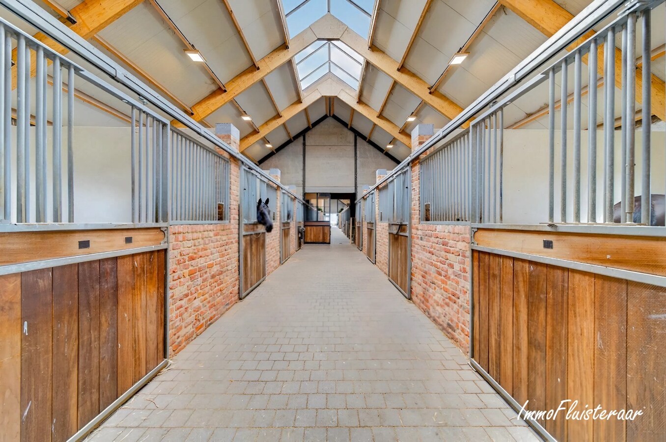 Prachtige professionele paardenaccommodatie op ca. 10 ha te Oudbergen 