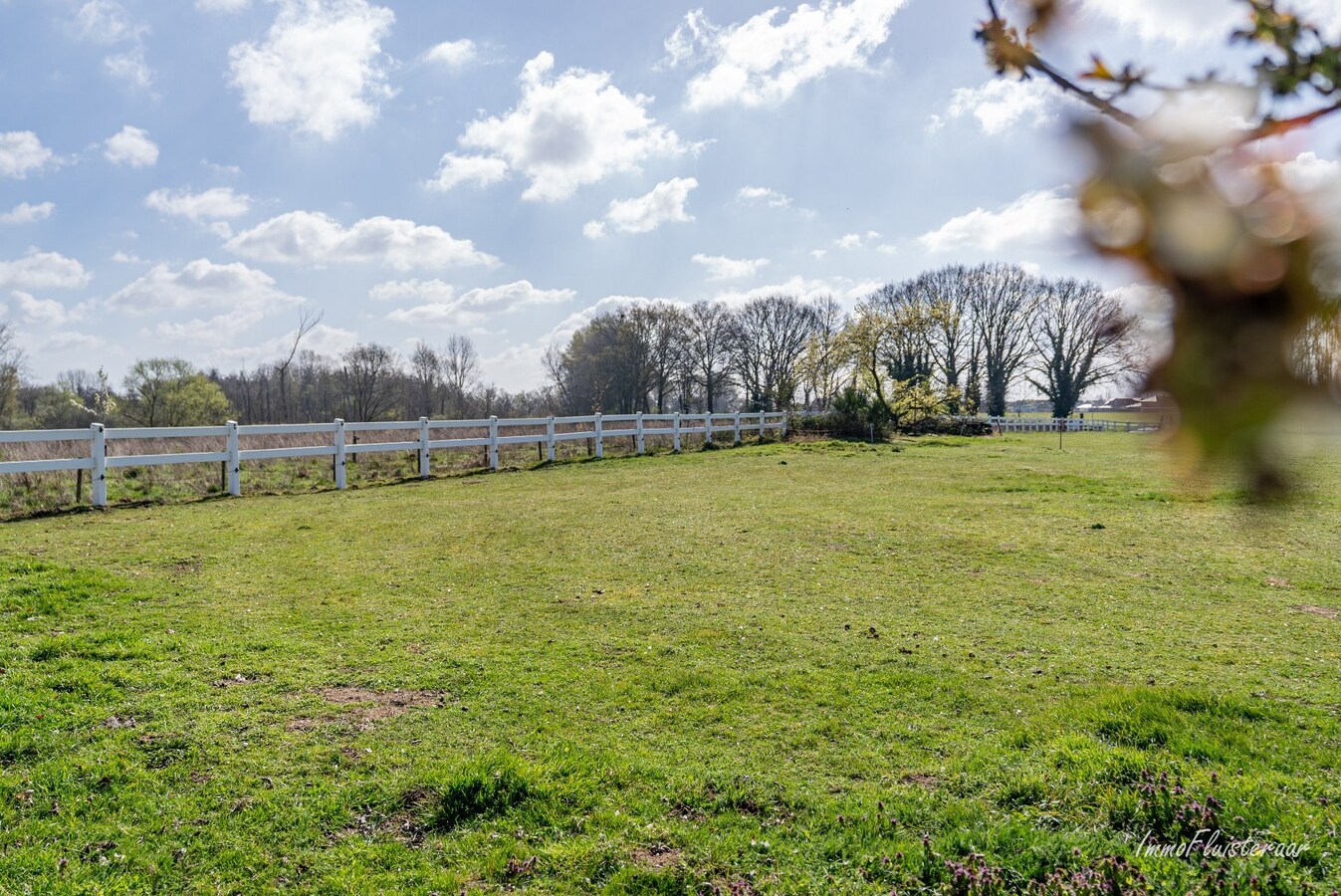 Spacious house with horse stables on approximately 85 acres in Kinrooi 
