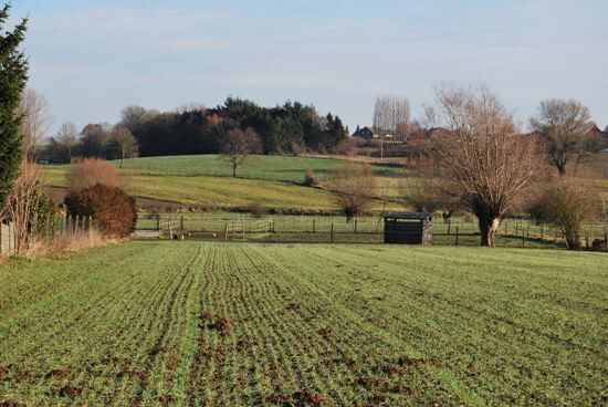 Verkocht boerderij - Bever
