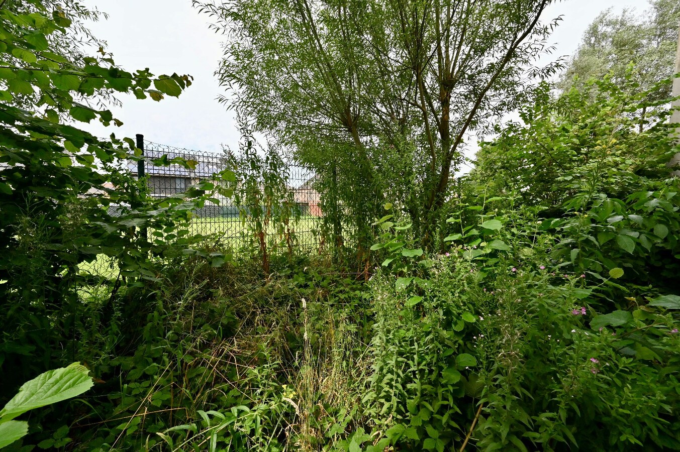 RECENTE RUIME LOODS OP CENTRALE LIGGING TE BREDENE 