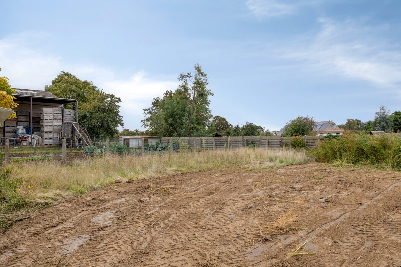 Prachtige woning met zonnige tuin in Halle-Booienhoven (Zoutleeuw) 