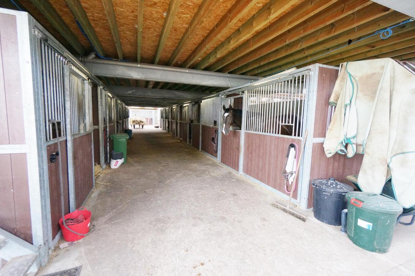 Ferme vendu À Merksplas