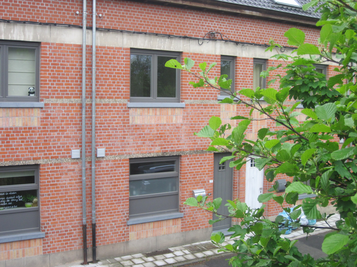 Recent vernieuwde rijwoning nabij de Schelde. 