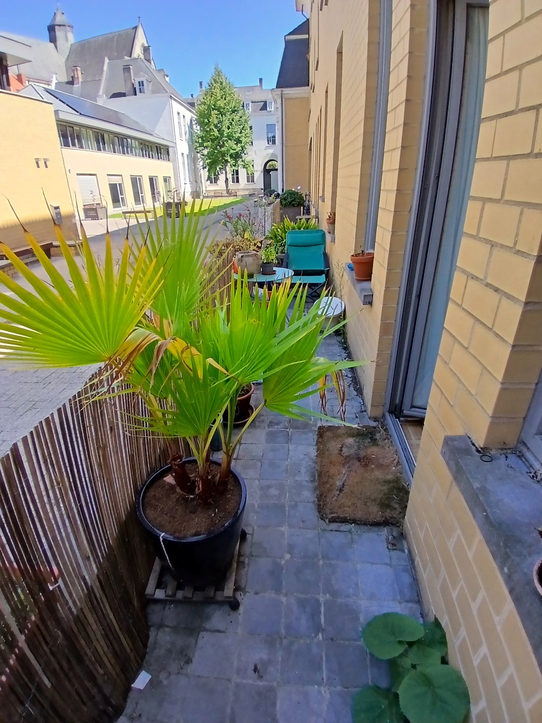 Ruim éénslaapkamerappartement centrum Gent 