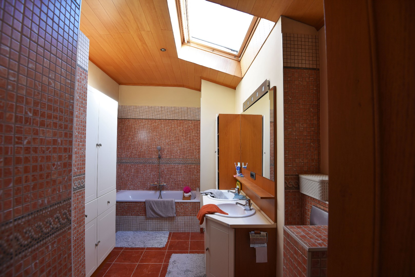 HOB met 3 slaapkamers, garage en tuin te Eeklo 