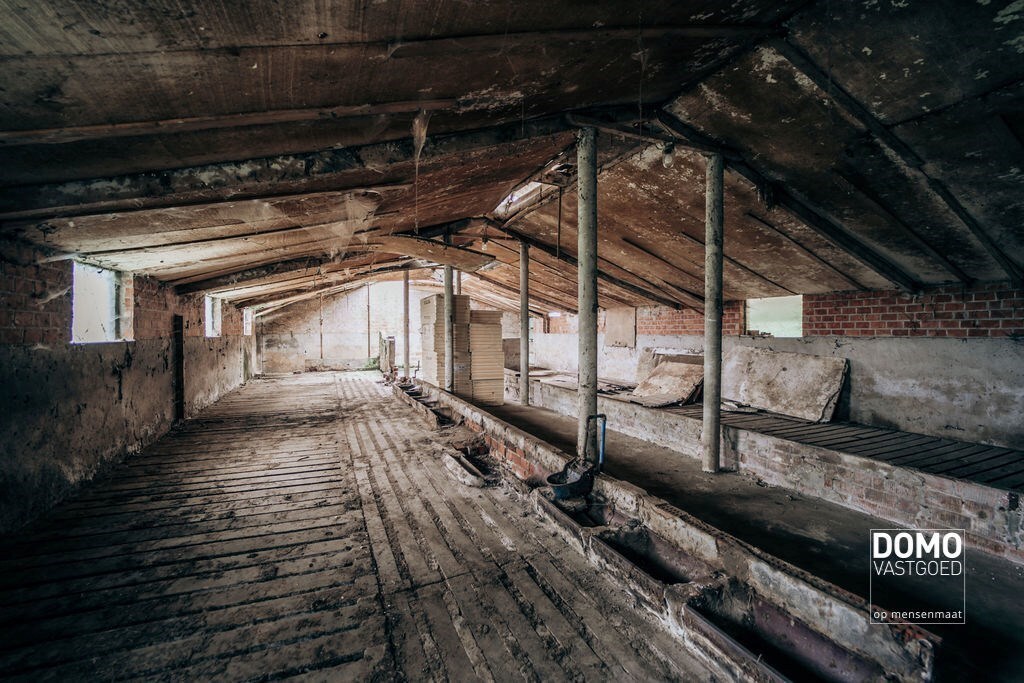 Ruime boerderij met stallingen en een prachtig groen uitzicht. 