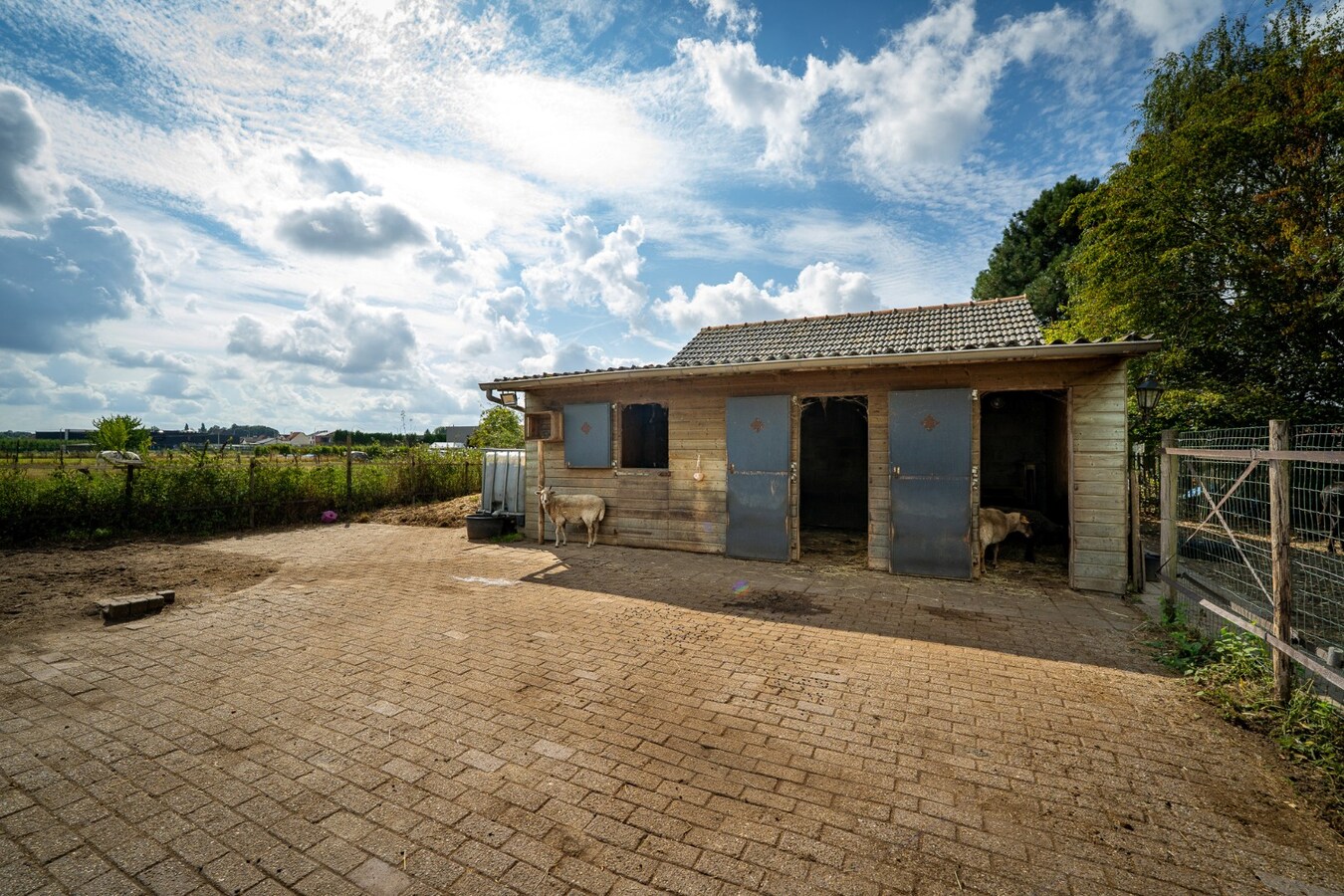 Quietly located house with a meadow of approximately 55 acres in Herk-de-Stad 