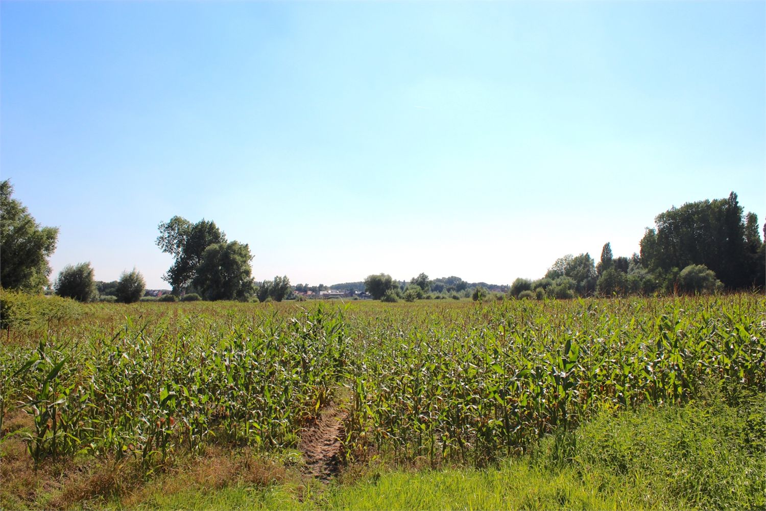 Grond verkocht in Stekene