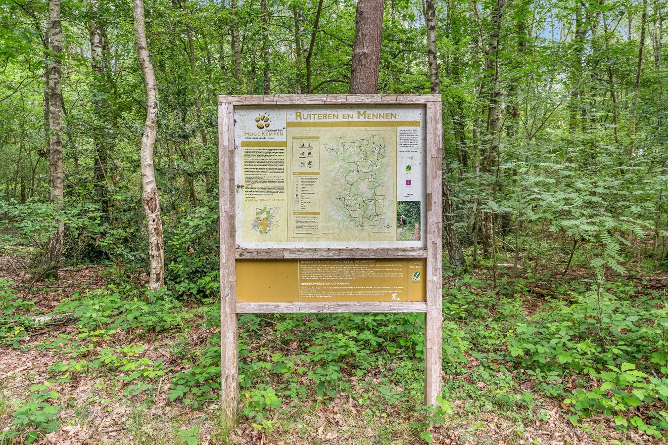 Authentiek horecapandje ideaal voor een healthy coffee-, lifestyle- en natuurconcept in het Dilserbos-Sparrendal. 