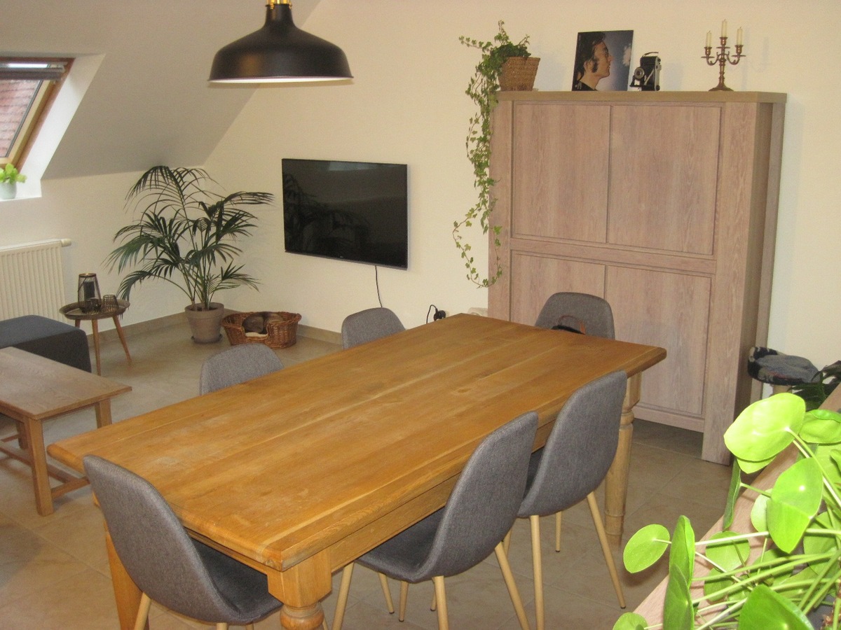 Tof en ruim 1-slp-appartement. Met terras. Met garage. 