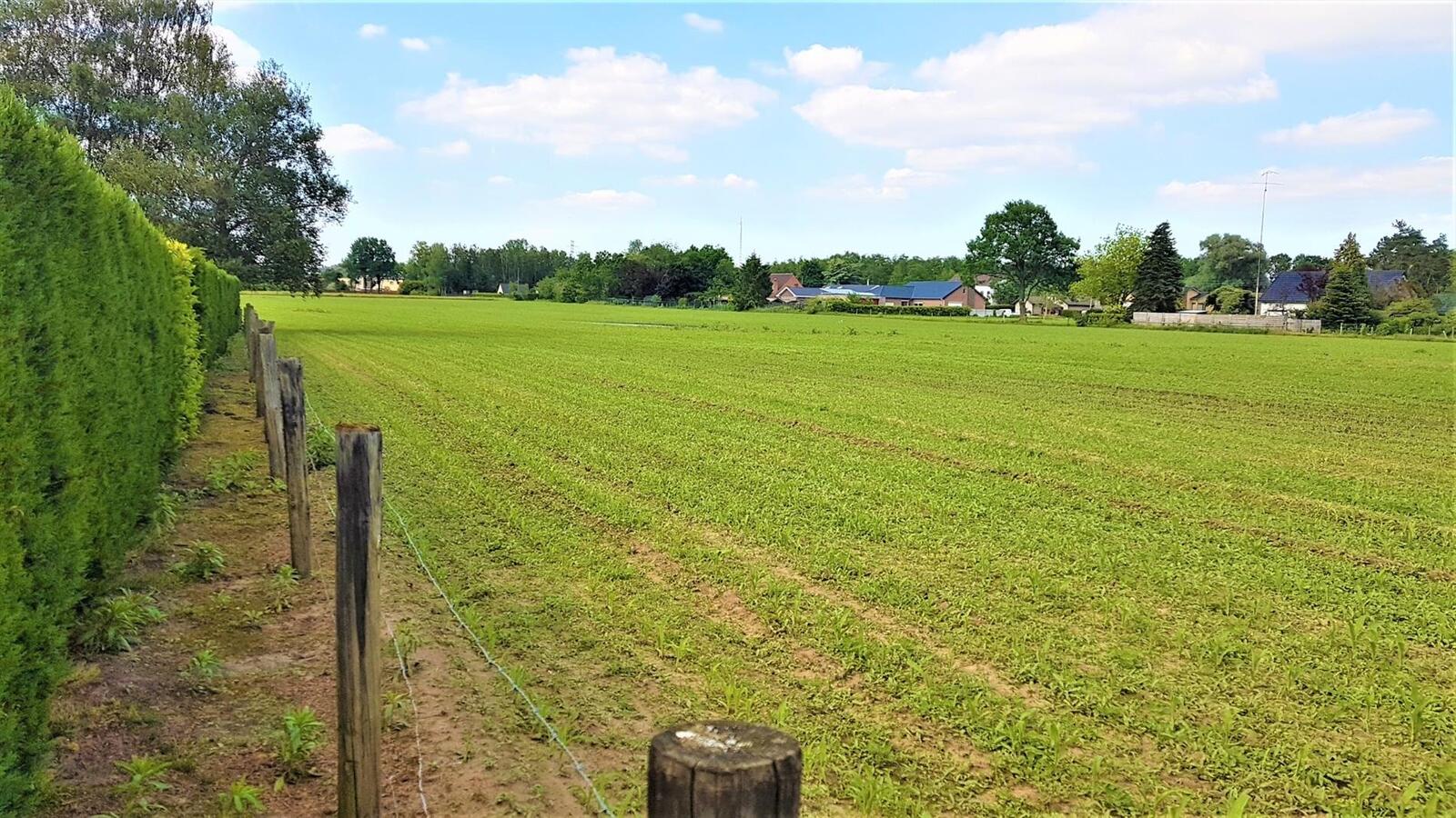 Farm sold in Tessenderlo