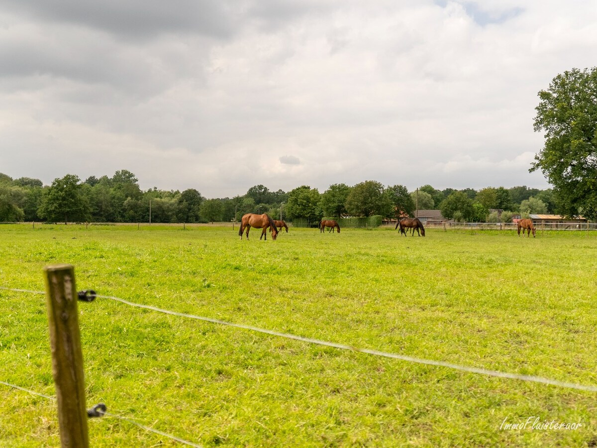 Maison spacieuse avec bâtiment d'écurie et prairies sur environ 3,8 hectares à Berlaar. 
