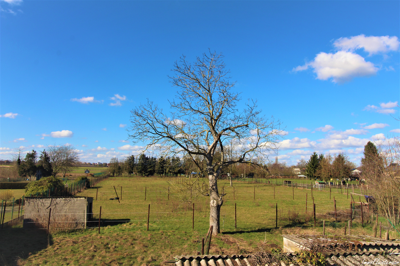 Maison à rénover (1900-1950) avec annexes et prés sur plus de 60a à Geetbets (Brabant Flamand) 