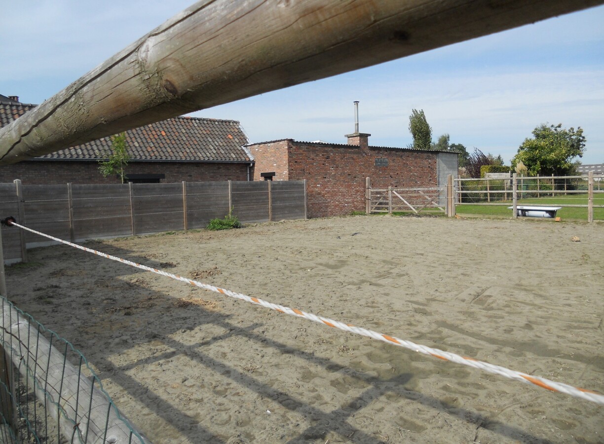 Instapklare woning met 2 stallen op ca.4000m² te Lebbeke 