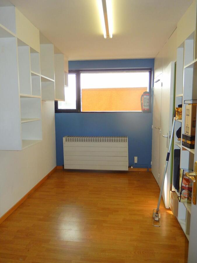 Handelspand op de markt van Gistel 