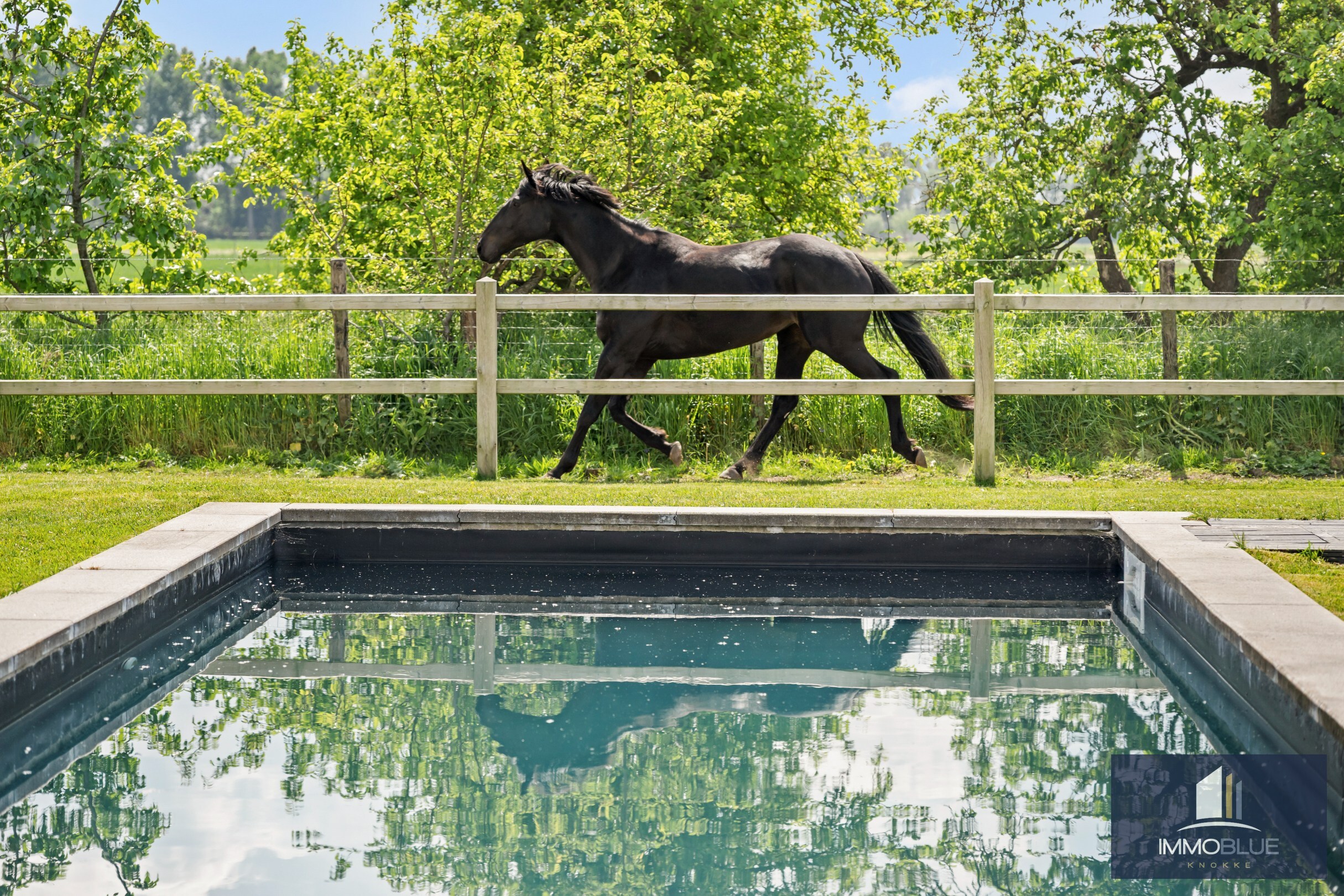 Domaine idylliquement situé avec maison rénovée, espace professionnel et installations équestres étendues. 