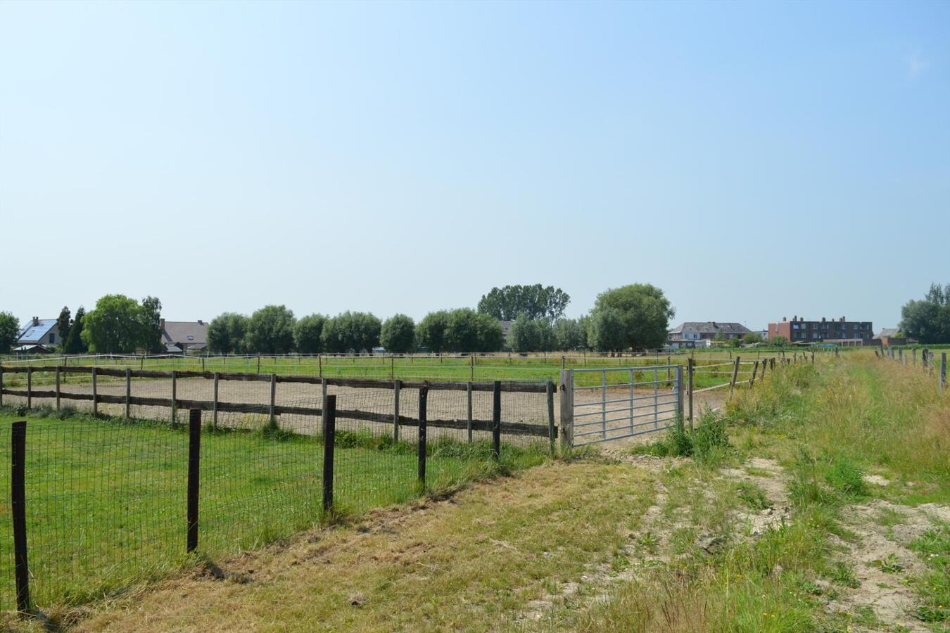 Gerenoveerde woning op ca. 6500m² te Buggenhout 