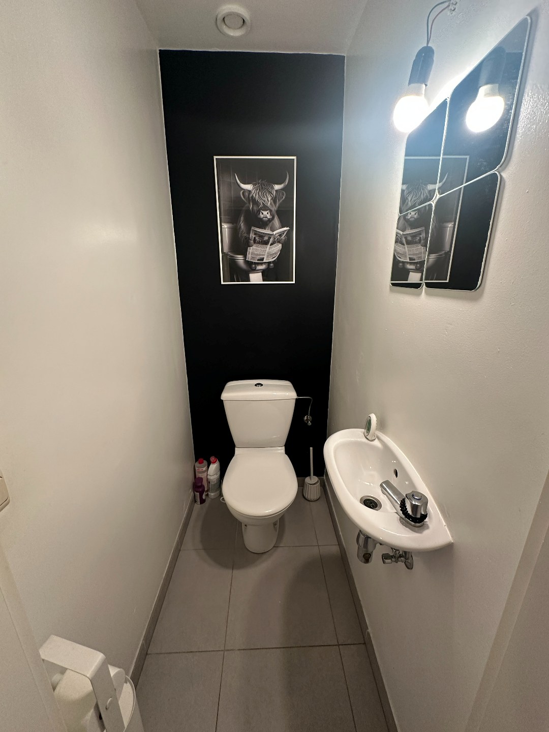 Apart toilet