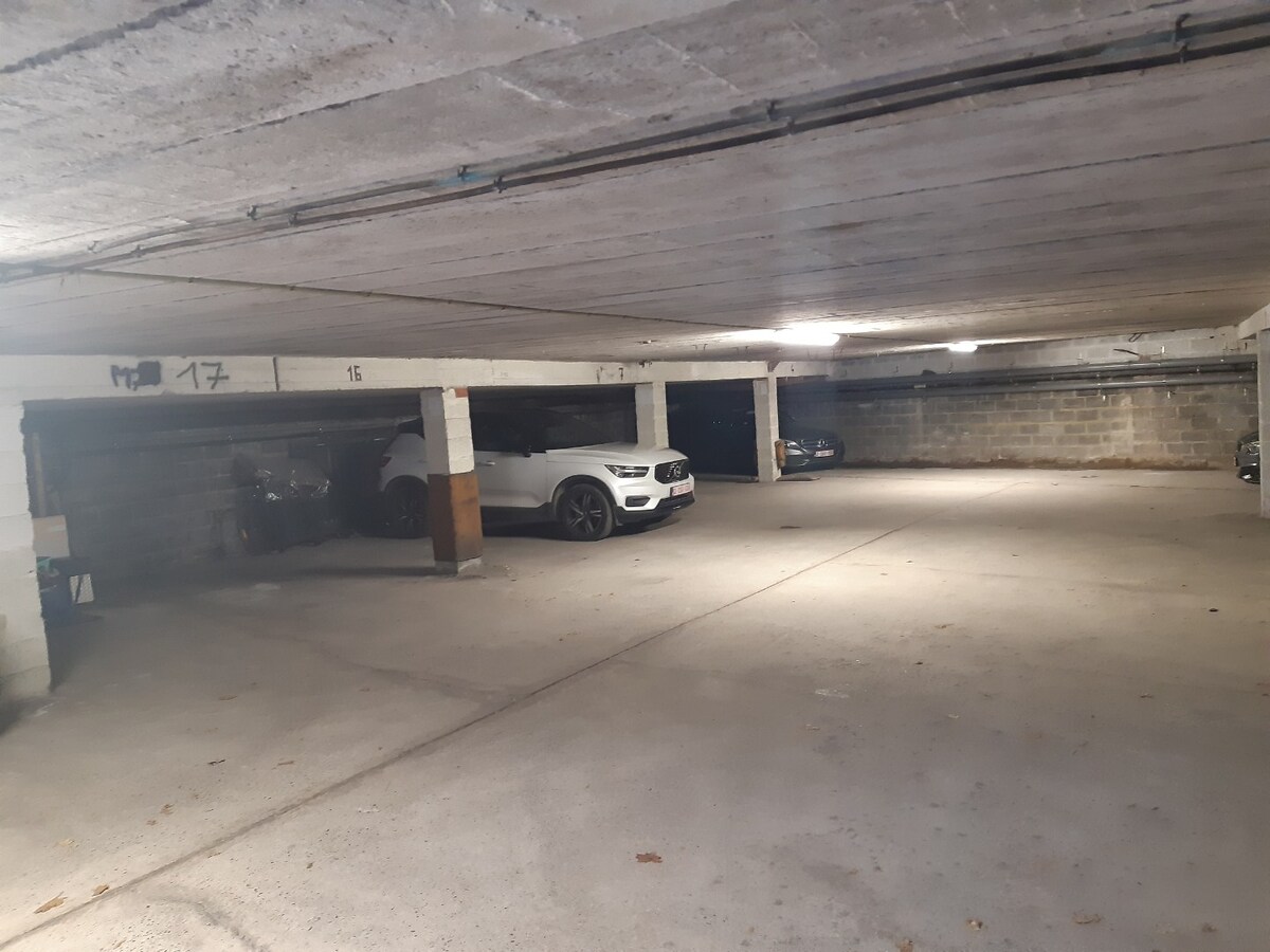 Ruim en lichtrijk appartement - centrum Gavere. 