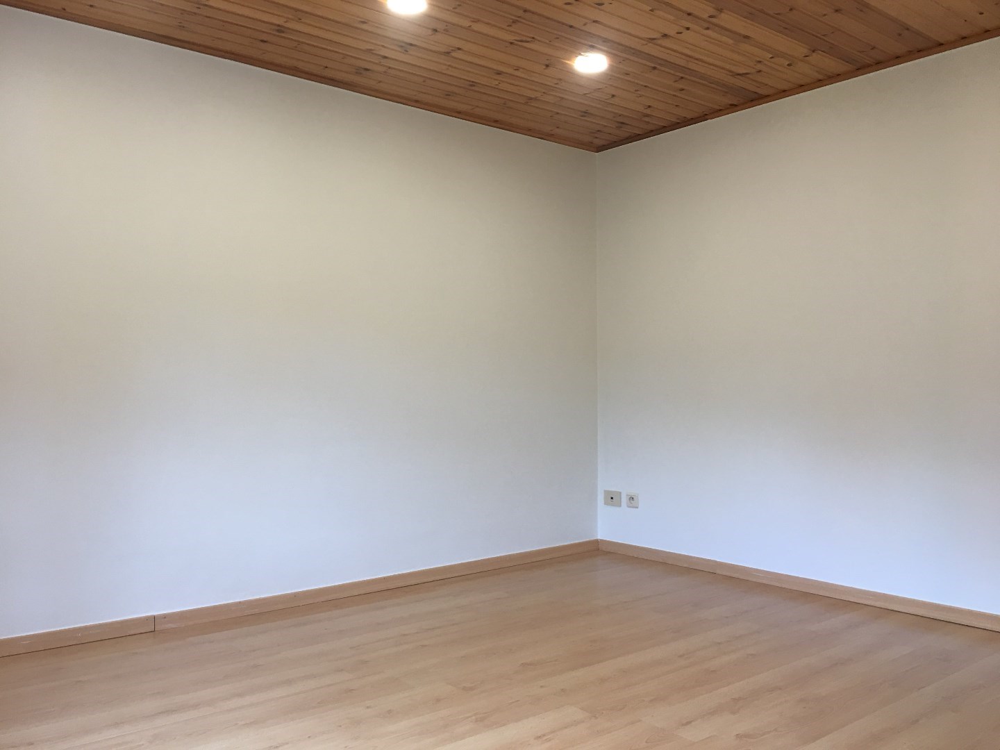 Gerenoveerde, zeer ruime woning met garage en tuin op 222 m² 