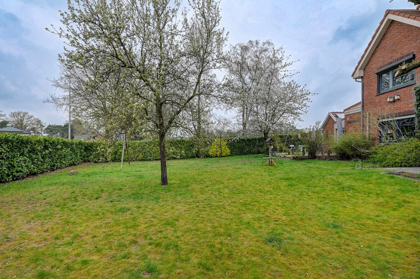 Aangenaam gezellig huis met met veel leefruimte 