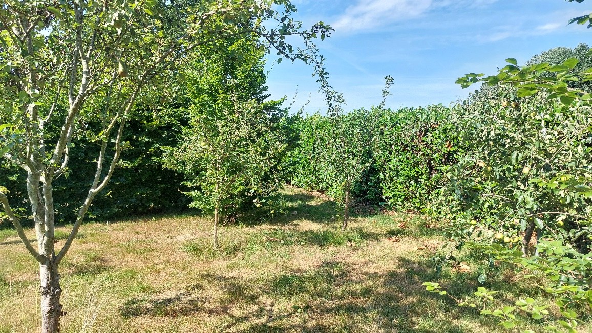 Bos te koop in Weert