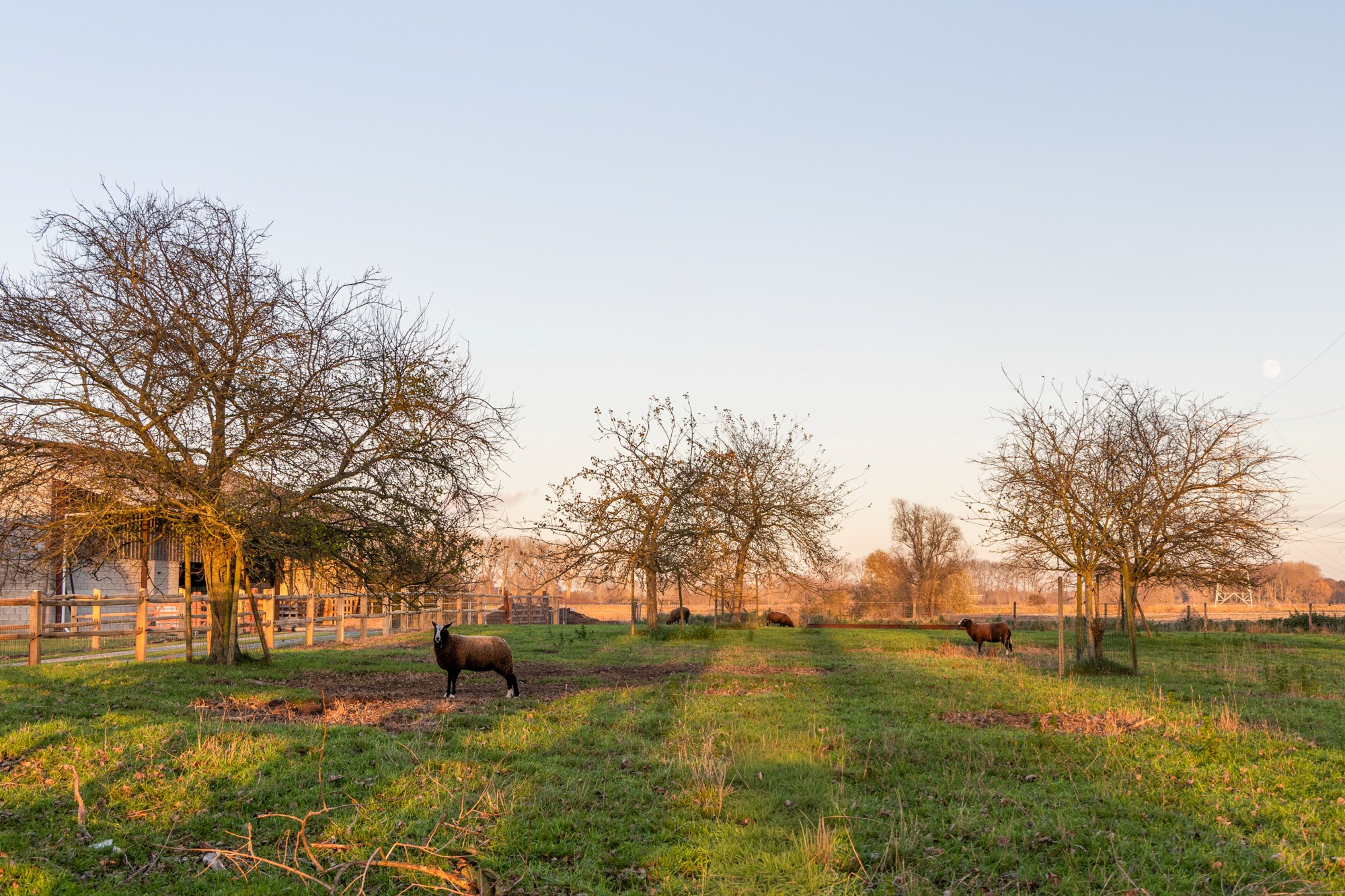Authentiek gerenoveerde hoeve te Varsenare — een uitzonderlijk landelijke eigendom nabij Brugge 
