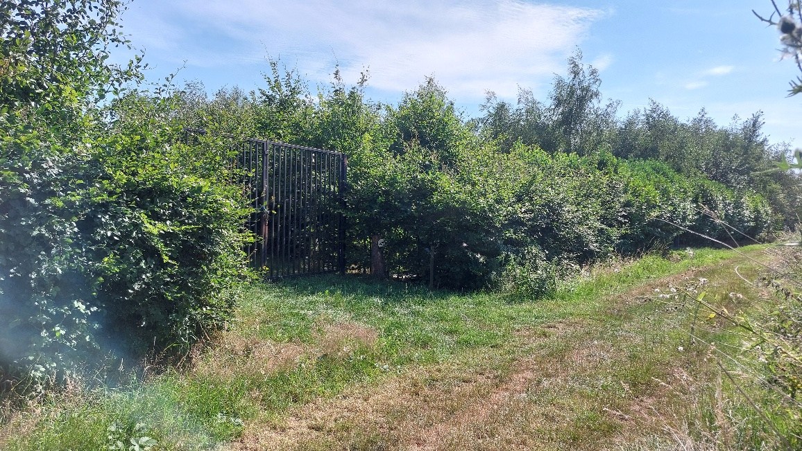 Bos te koop in Weert