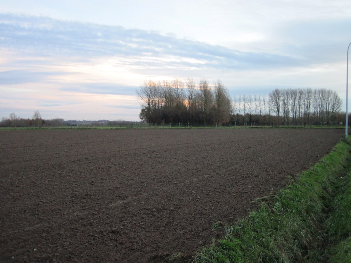 Loft-appartement. Geen vaste kosten. 