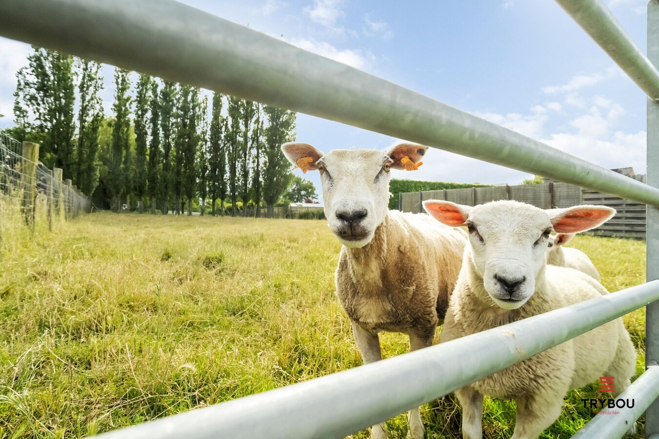 Vrijstaande woning op 1194 m² te Klerken 