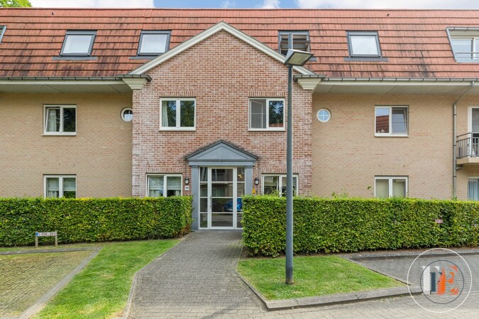 Te koop dak appartement - Wetteren