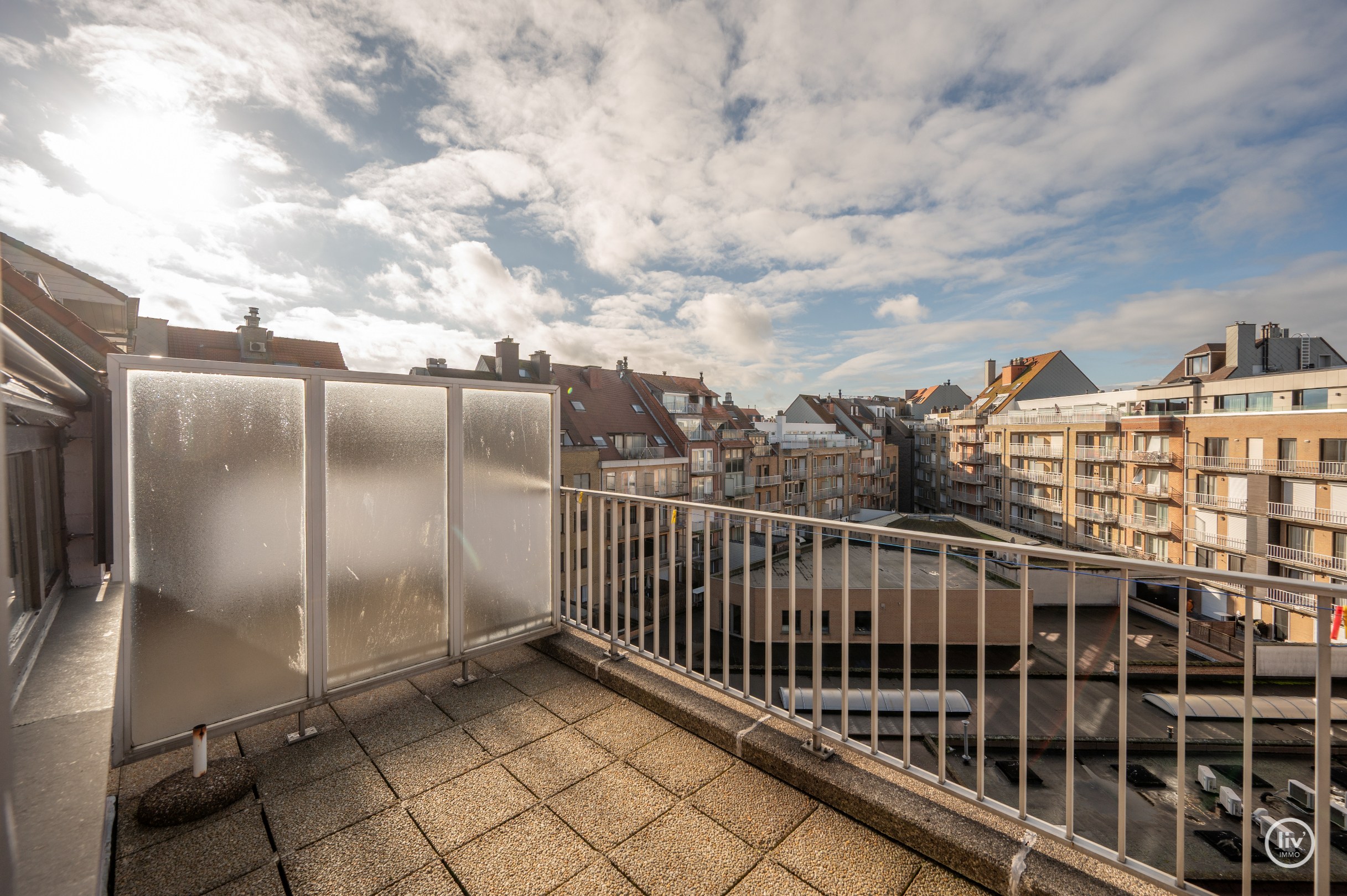 Centraal gelegen triplex-appartement met ruime zonne-terrassen op wandelafstand van de Zeedijk-Albertstrand en Dumortierlaan 