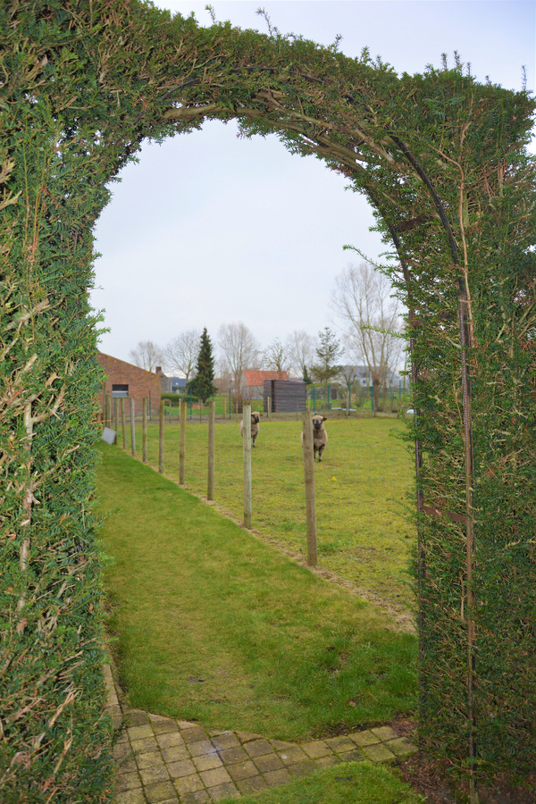 Perfect onderhouden villa op 2.155m² met dubbele garage 