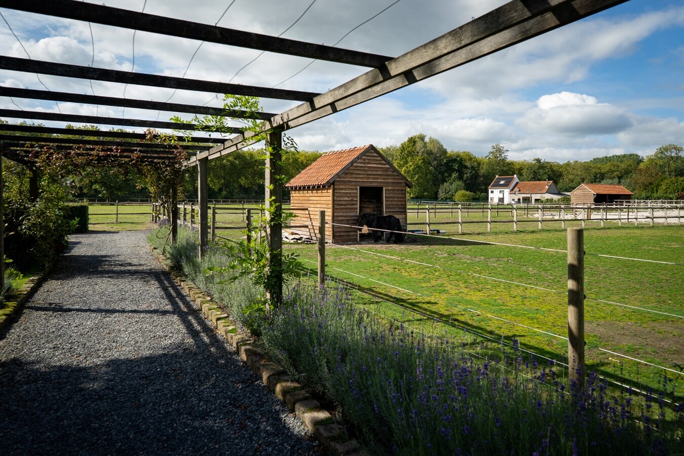 Ruime woning met weide en paddock op ca. 1ha te Bocholt 