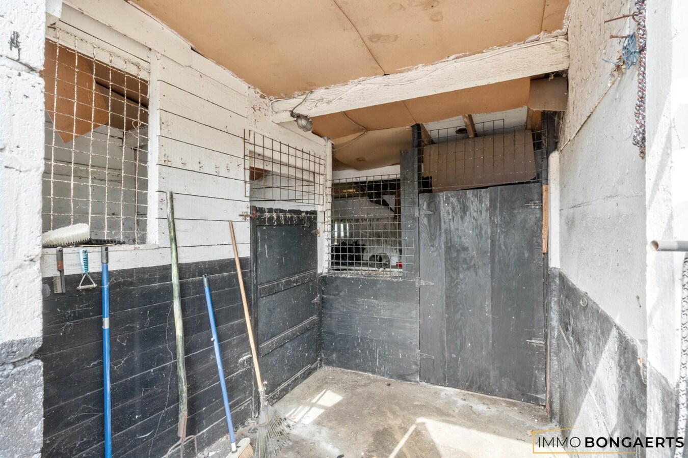 Rustig gelegen woning op uitzonderlijk perceel van 7.700 m² 