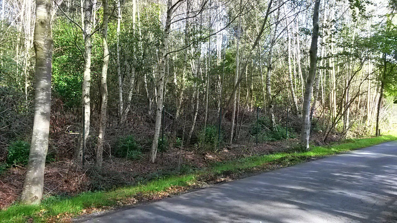 Verkocht - Grond - Wingene