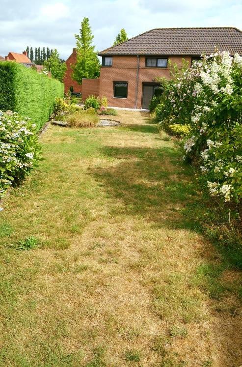 Halfopen bebouwing op 530m² met 3 slpks, garage, tuin en tuinhuis te Maldegem 