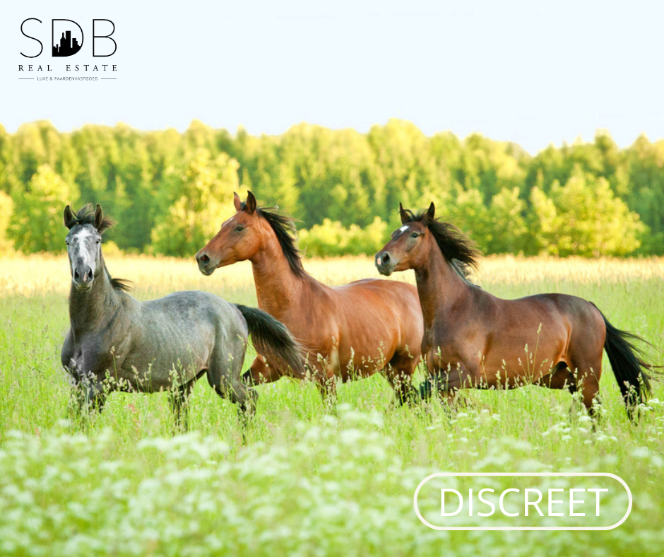 Landelijke woning met bijgebouwen en graslanden op ca 1,22ha 