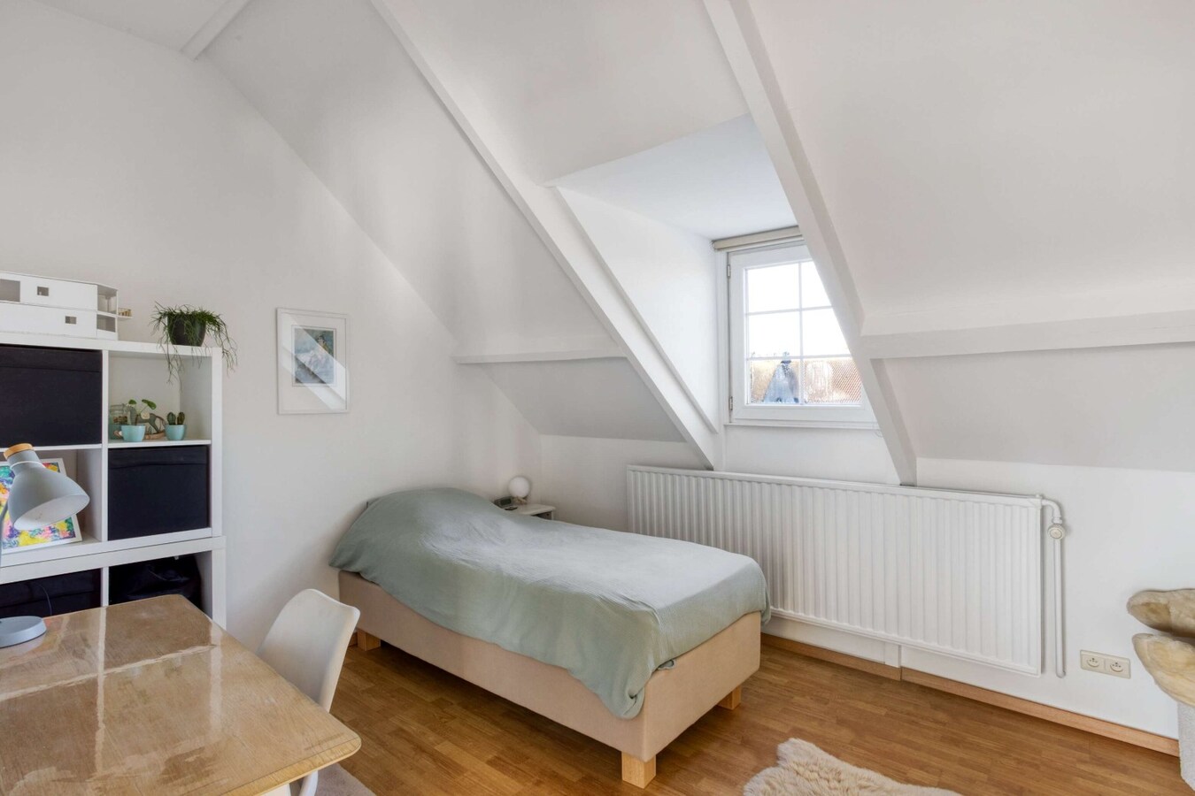 Exclusive equestrian accommodation on approx. 2,5 ha/6,18 acres in Geel (Antwerp region) 