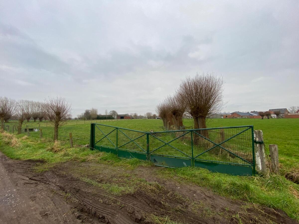 Stuk weiland te Roksem 