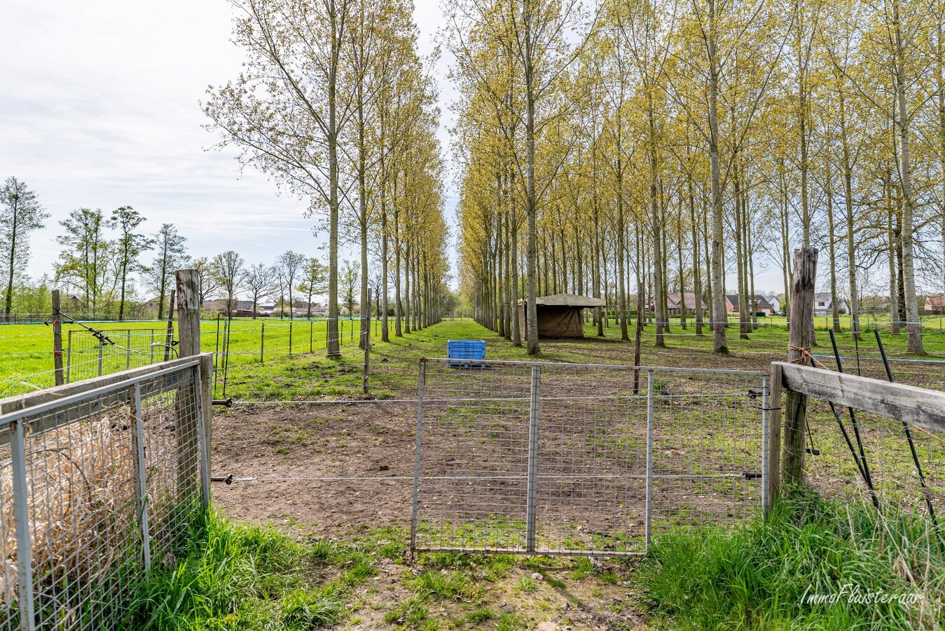 Woning met stalgebouwen en buitenpiste op ca. 6ha te Bocholt 