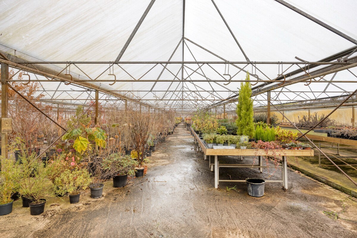 Tuinbouwcentrum met ruime woning op een perceel van 4,26 hectare 