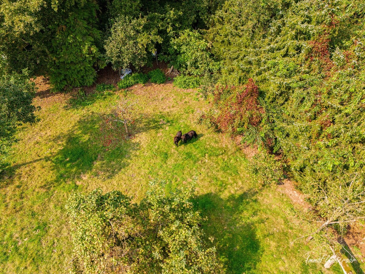 Propriété vendu À Neerpelt