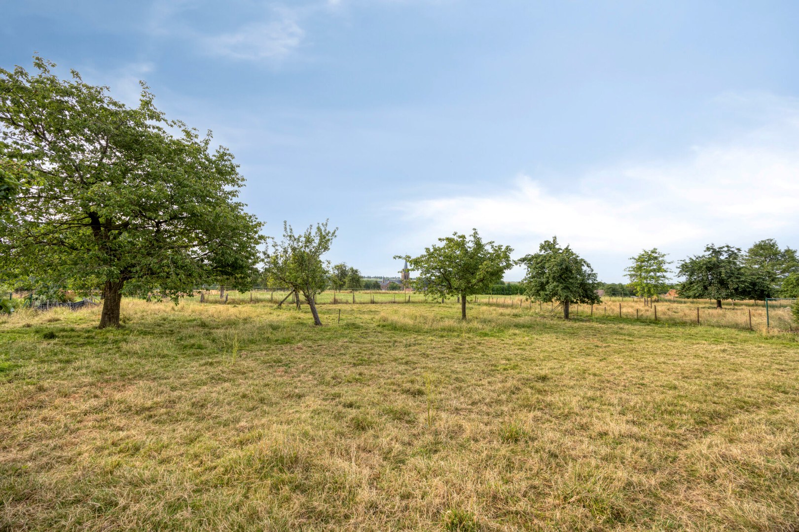 Achterliggende weide