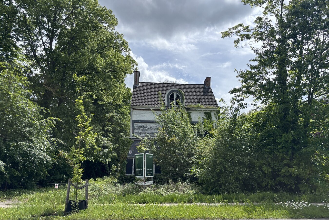 Projectgrond op een perceel van 2.579 m² met 24 meter straatbreedte. 