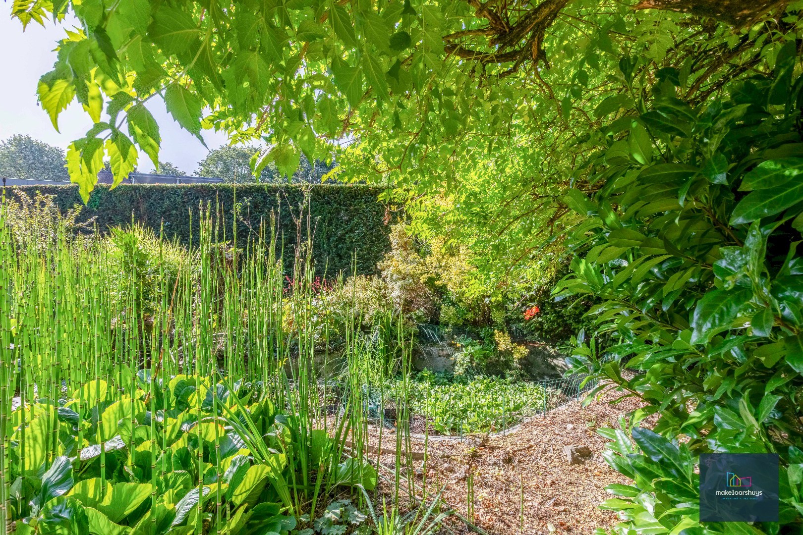 Rustig gelegen ruime bungalow met dubbele garage in Drongen 