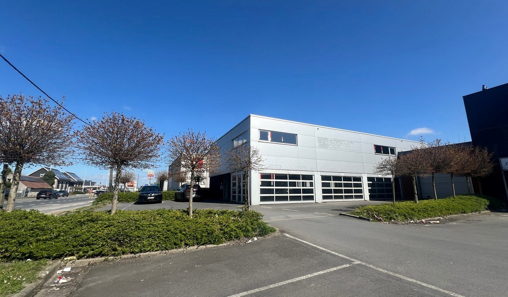 Commercieel gelegen showroom met magazijn te huur in Wetteren